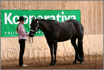 QH061_0262n.jpg (43,2 KB)