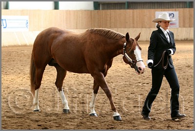 QH061_0266n.jpg (41,7 KB)