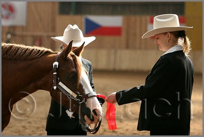 QH061_0268n.jpg (29,8 KB)