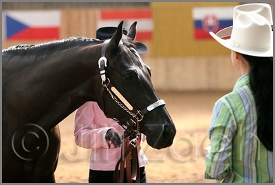QH061_0269n.jpg (30,9 KB)
