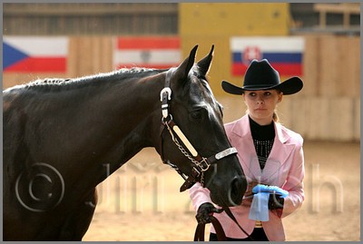 QH061_0271n.jpg (30,7 KB)