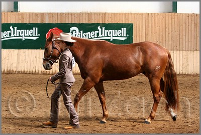 QH061_0273n.jpg (44,5 KB)