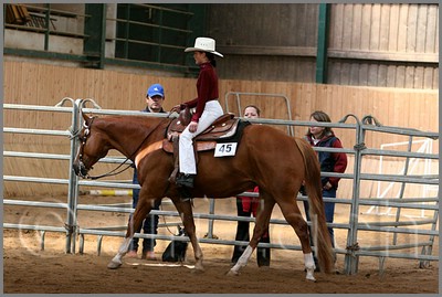 QH061_0277n.jpg (43,0 KB)