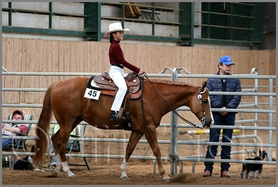 QH061_0279n.jpg (42,9 KB)