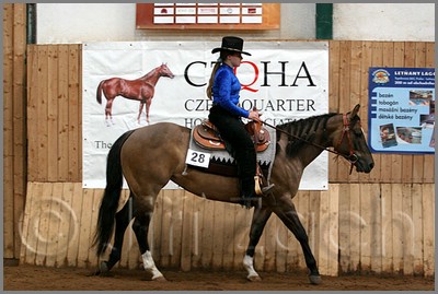 QH061_0281n.jpg (42,3 KB)