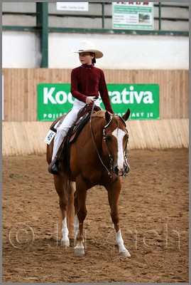 QH061_0282n.jpg (39,1 KB)