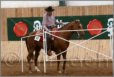 QH061_0345n.jpg (43,5 KB)