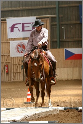 QH061_0347n.jpg (36,6 KB)