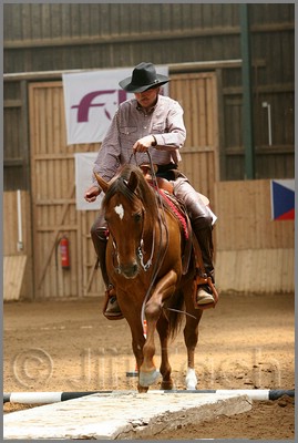 QH061_0348n.jpg (35,8 KB)