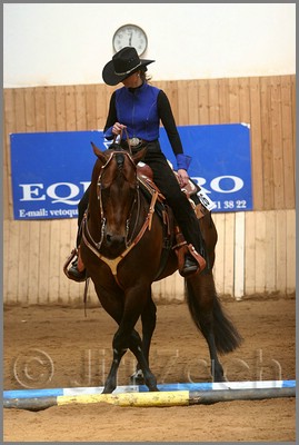 QH061_0352n.jpg (35,1 KB)