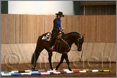 QH061_0355n.jpg (36,0 KB)