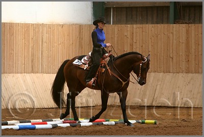 QH061_0356n.jpg (35,1 KB)