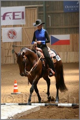 QH061_0357n.jpg (38,6 KB)