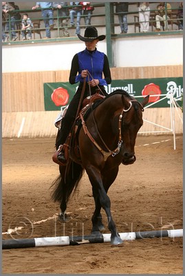 QH061_0359n.jpg (40,4 KB)