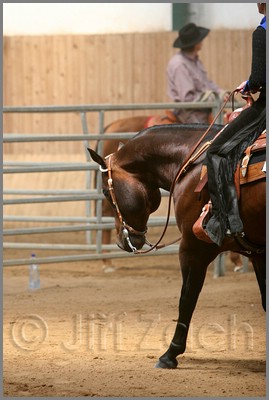 QH061_0360n.jpg (33,5 KB)