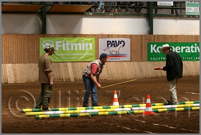 QH061_0363n.jpg (41,4 KB)