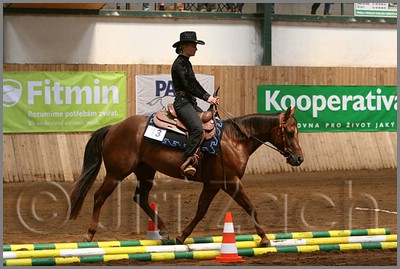 QH061_0372n.jpg (41,3 KB)