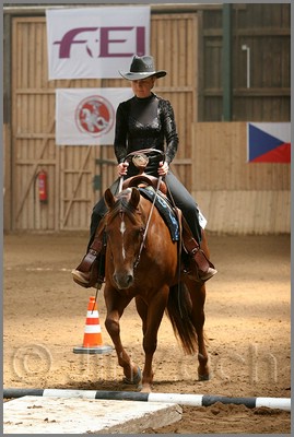 QH061_0374n.jpg (37,3 KB)