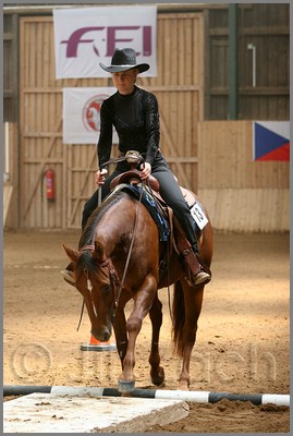 QH061_0375n.jpg (37,7 KB)