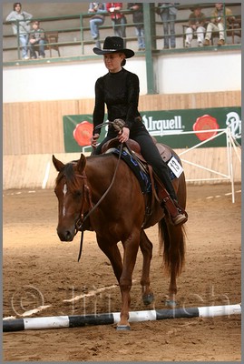 QH061_0376n.jpg (40,0 KB)
