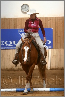 QH061_0379n.jpg (34,5 KB)