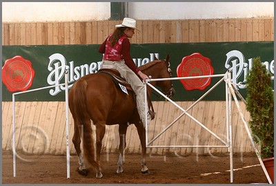 QH061_0380n.jpg (41,4 KB)