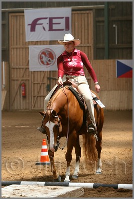 QH061_0385n.jpg (37,7 KB)