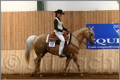 QH061_0390n.jpg (38,0 KB)