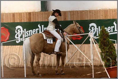 QH061_0393n.jpg (42,2 KB)