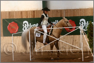 QH061_0394n.jpg (40,0 KB)
