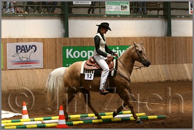 QH061_0396n.jpg (41,2 KB)