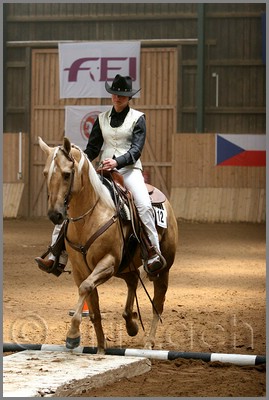 QH061_0397n.jpg (38,5 KB)