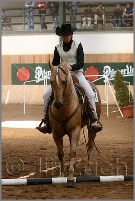 QH061_0398n.jpg (39,8 KB)