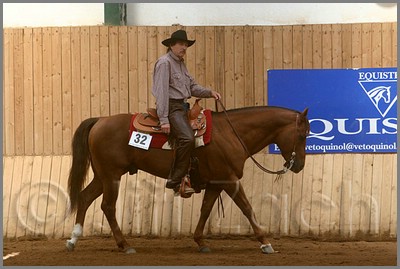 QH061_0399n.jpg (37,2 KB)