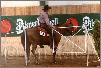 QH061_0402n.jpg (41,8 KB)