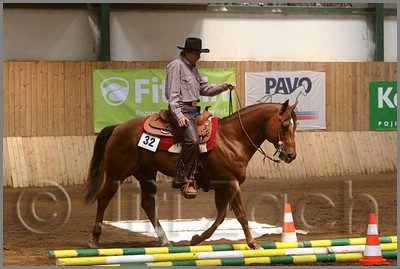 QH061_0405n.jpg (38,0 KB)