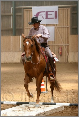 QH061_0407n.jpg (36,0 KB)