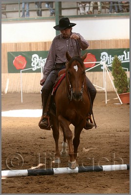 QH061_0408n.jpg (37,5 KB)