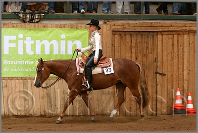 QH061_0420n.jpg (39,3 KB)