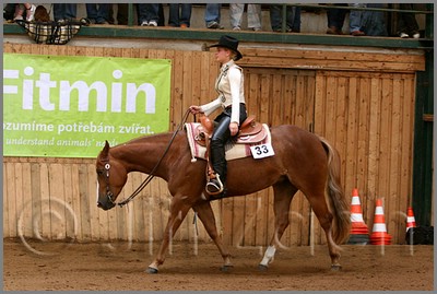 QH061_0431n.jpg (41,2 KB)