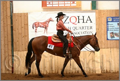 QH061_0435n.jpg (43,2 KB)
