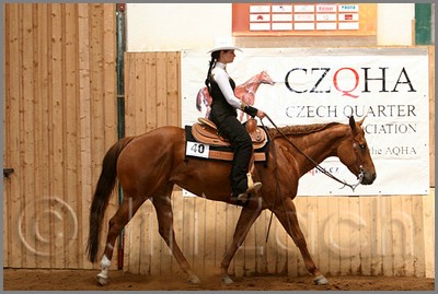 QH061_0436n.jpg (40,1 KB)