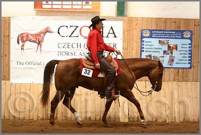 QH061_0439n.jpg (43,1 KB)