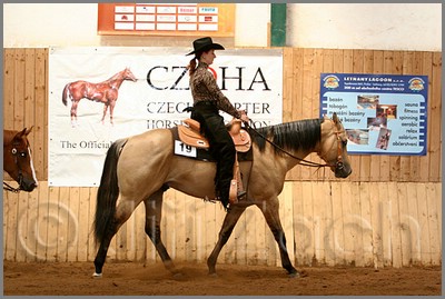 QH061_0440n.jpg (43,3 KB)