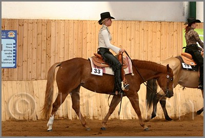 QH061_0441n.jpg (39,5 KB)