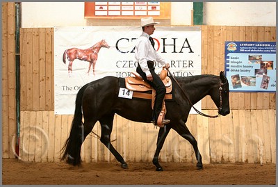 QH061_0443n.jpg (42,3 KB)