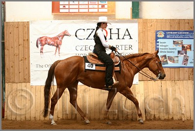 QH061_0446n.jpg (41,8 KB)