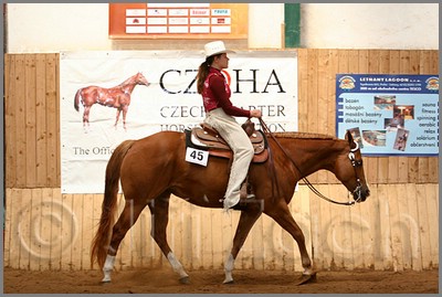QH061_0449n.jpg (41,5 KB)