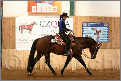 QH061_0450n.jpg (41,1 KB)