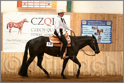 QH061_0451n.jpg (41,7 KB)